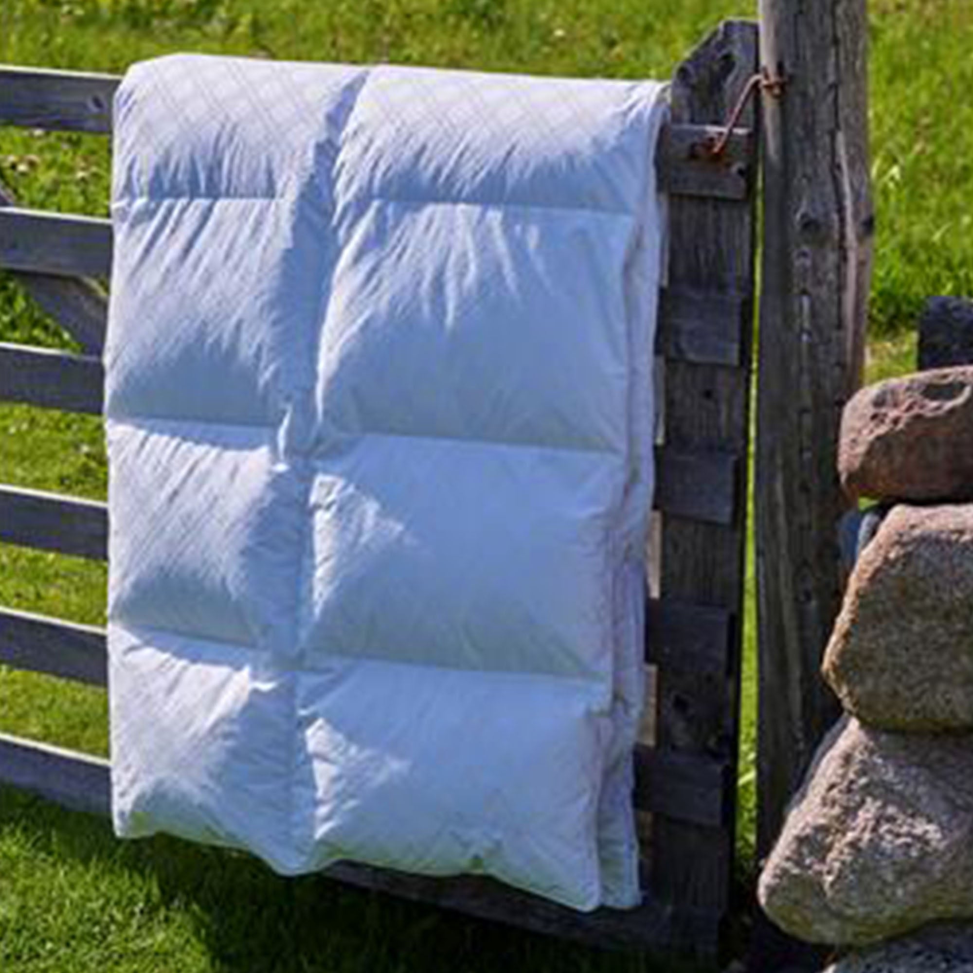 Halvor Bakke Dundyne