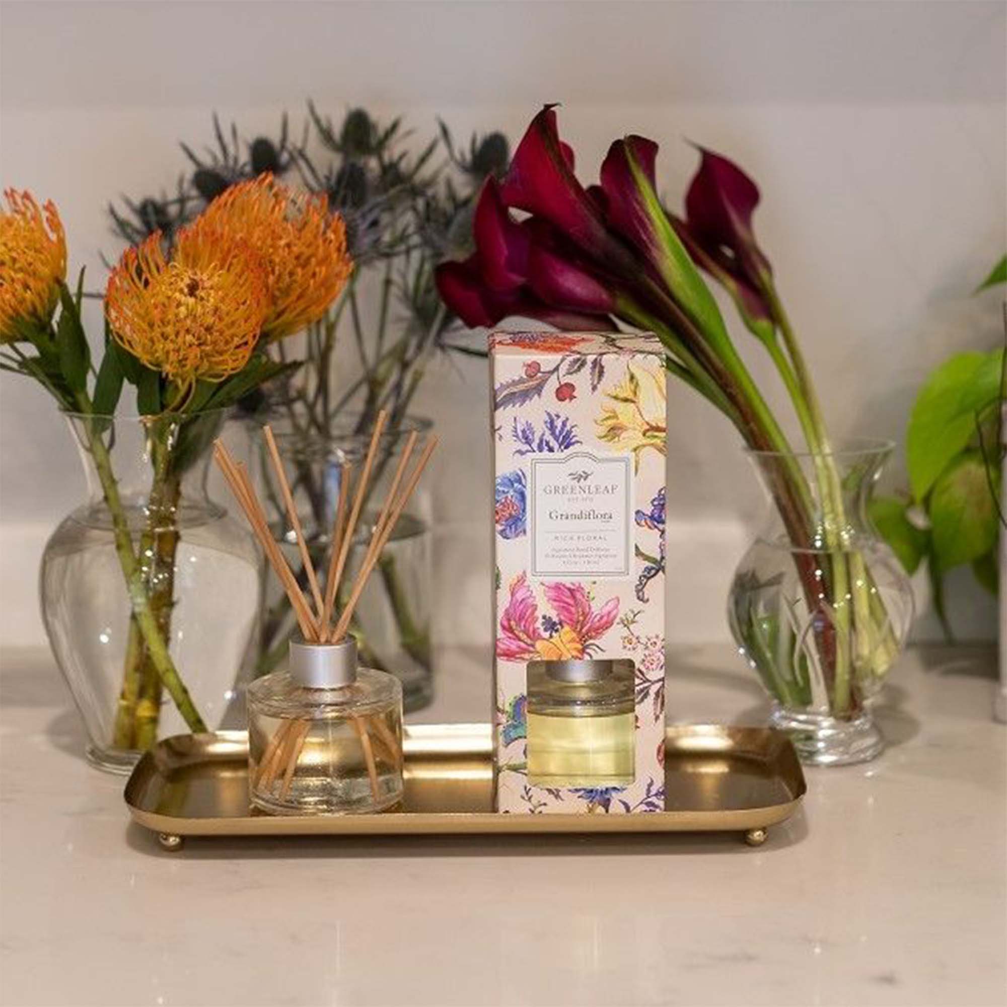 Greenleaf Duftpinner Grandiflora