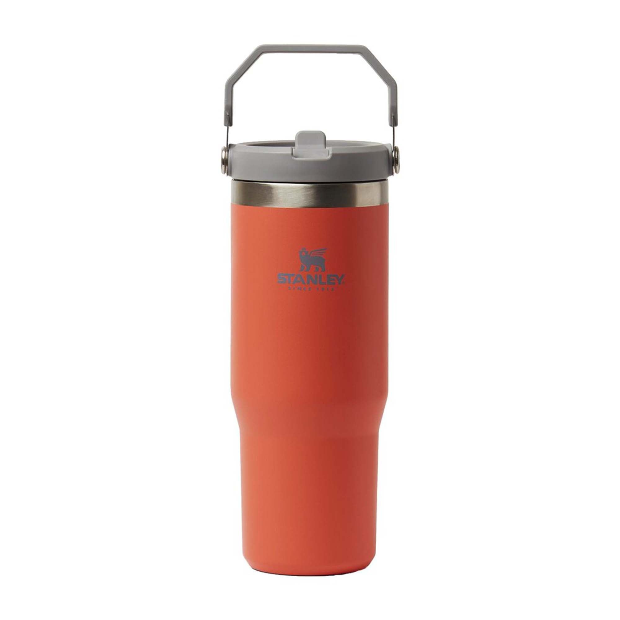 Stanley Flip Straw Tumbler